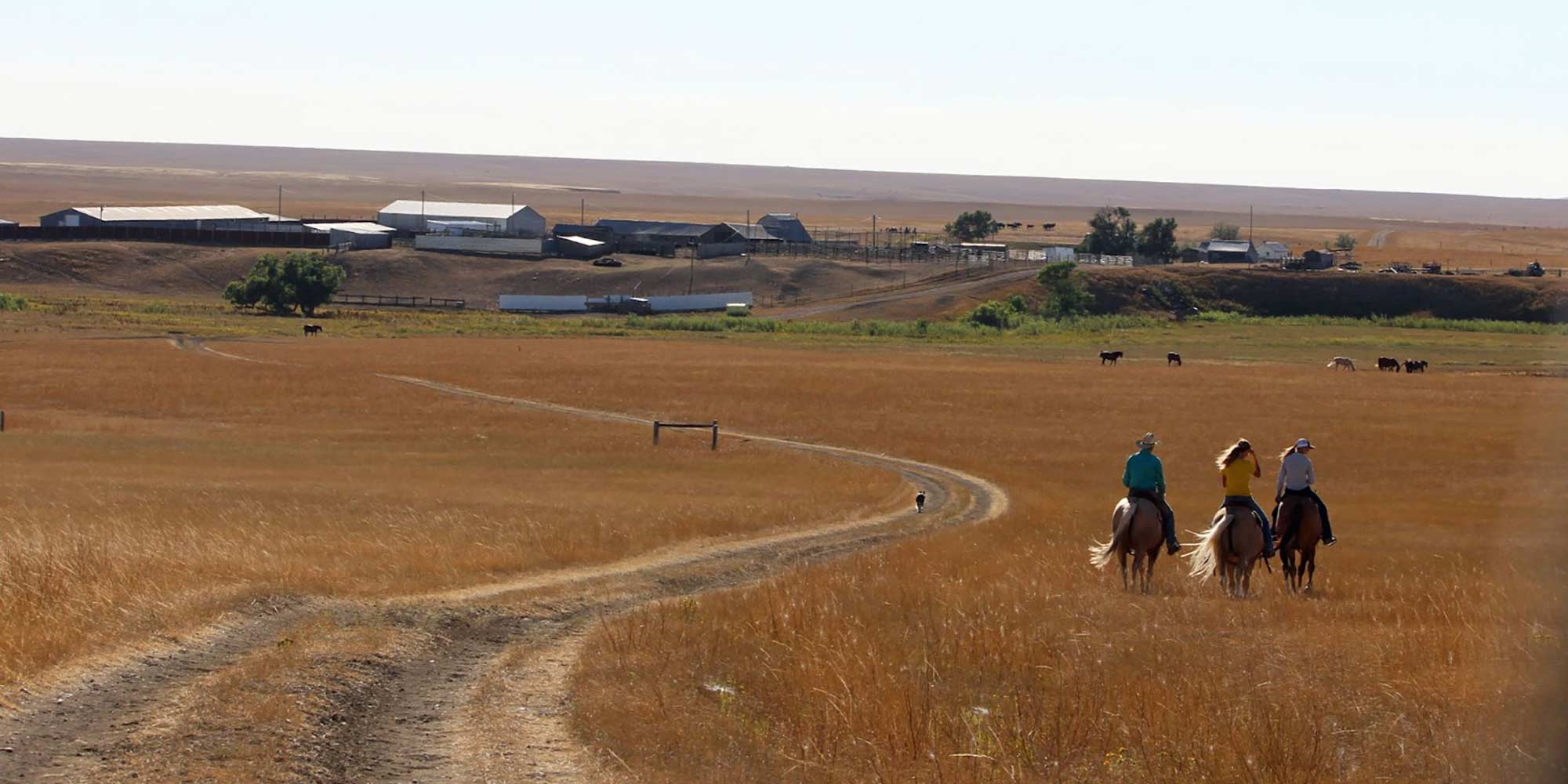 horseback riding away